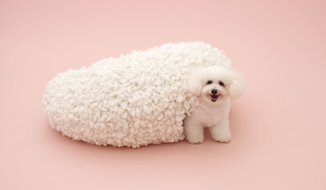 TOTOギャラリー・間｜『犬のための建築展』いよいよ国内で開催！