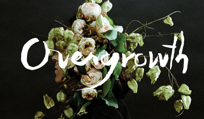 ART｜ポートランドを拠点にするフラワーアーティストと写真家がコラボ