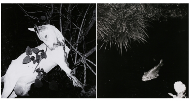 ART｜須田一政写真展『凪の片』が東京都写真美術館で開催