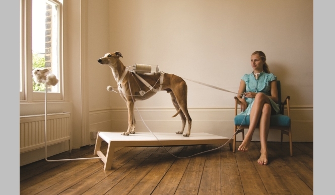 ART｜東京アートミーティング『うさぎスマッシュ展 世界に触れる方法』