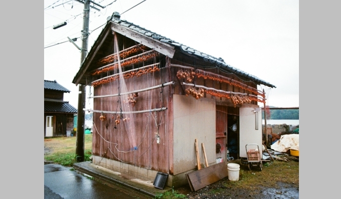 ART|金沢21世紀美術館『島袋道浩:能登』