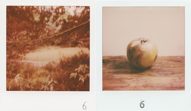 ART|6人の写真家が競演する写真展『solo six』