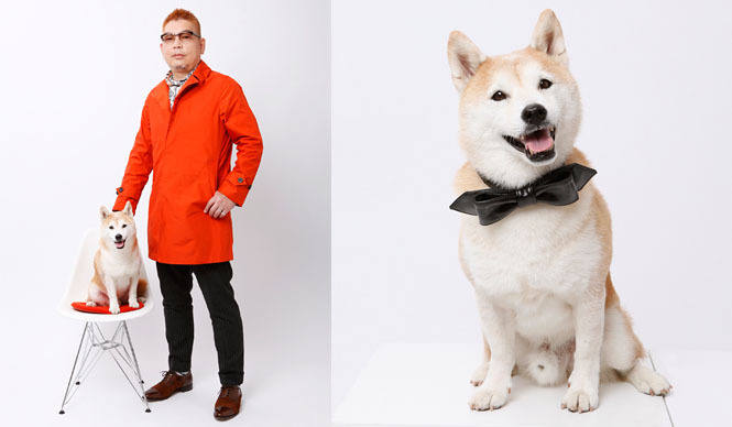 NEWS|愛犬と記念撮影できる「With Dog フォトプラン」