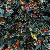 ART|鈴木達哉写真展『Patterns in Discontinuity』