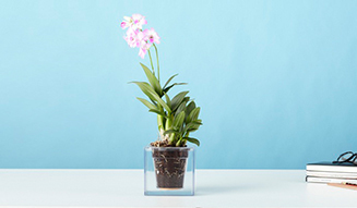 Boskke Cube｜水やりは月に1度の給水プランター「ボスケキューブ」