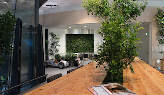 アウディ カフェがリニューアルオープン｜Audi