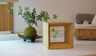 Forest Notes|「感性の森2014展」開催