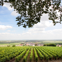 EAT|21世紀初のヴィンテージシャンパーニュ「サロン2002」が日本上陸