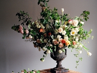 united bamboo｜エイミー・メリックとコラボの限定ストア登場