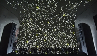 DIOR HOMME｜上海にてランウェイショーを開催