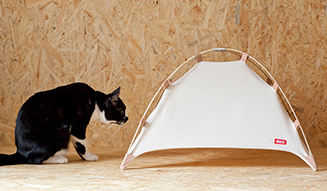 41世紀｜ネコ用テント「#catstudyhouse」登場