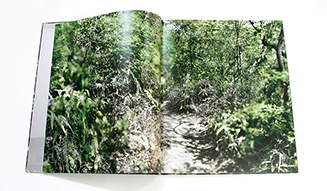 BOOK｜写真家・大島成己『Naruki Oshima  haptic green』出版記念イベント開催