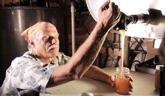 MOVIE｜マークス・イムホーフ監督、ミツバチが消えた謎を追うドキュメンタリー『みつばちの大地』