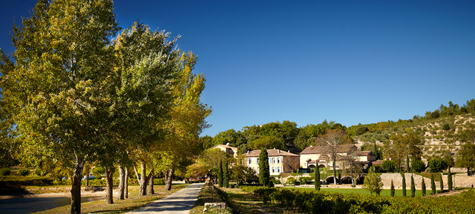 EAT｜ブラピ＆アンジー夫妻が手がけたロゼワイン、今年も間もなく解禁！