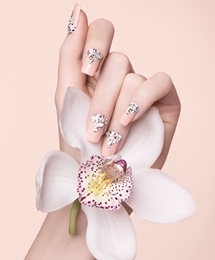 SWAROVSKI｜ネイルデザイン・ボックス新発売