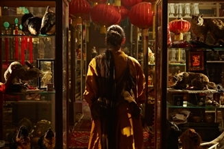 ART｜東京都写真美術館で『フィオナ・タン まなざしの詩学』展