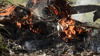 ART｜映像アーティスト Eugene Kangawaの個展を開催