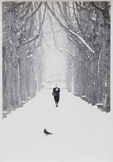 ART｜アートフォトの祭典「ヒルサイド テラス・フォトフェア」