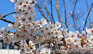 新連載｜気仙沼便り｜9月「新しいふるさとを作る」