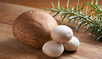 EAT｜グランド ハイアット 東京「ポータベロマッシュルームバーガー」提供