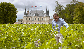 MOVIE｜知られざるワインビジネスの実態に迫る『世界一美しいボルドーの秘密』