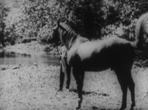 MOVIE|エキスパートが指南 初心者のための東京国際映画祭入門 (2)