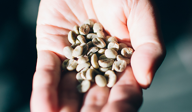 特集|ロースターは燃えているか?