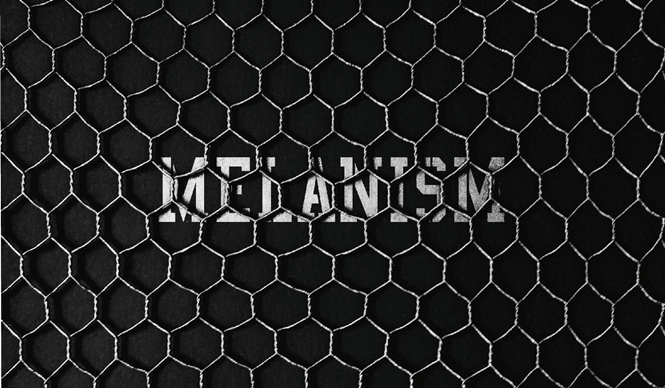 黒色に染まる「MELANISM」開催｜the POOL aoyama