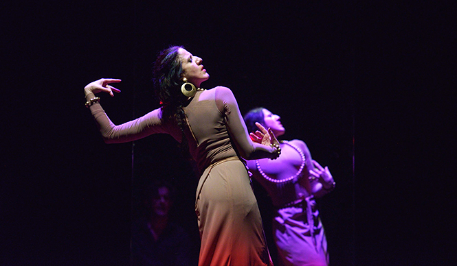 THEATER｜フラメンコ界の女王が舞う新時代のカルメン
