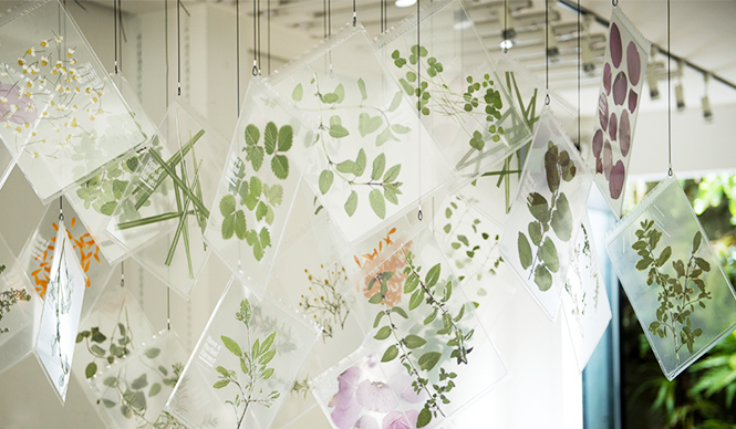 EAT｜目で味わい、舌で楽しむ、新感覚のハーブティー誕生