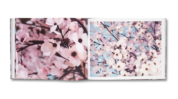 トーマス・デマンドのブックサイニング＆個展を東京で開催｜Taka Ishii Gallery