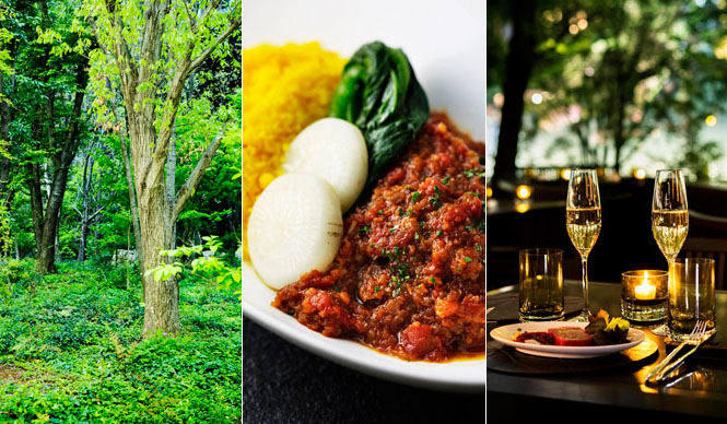 アマン東京1階、大手町の自然の森に「ザ・カフェ by アマン」がオープン｜AMAN TOKYO