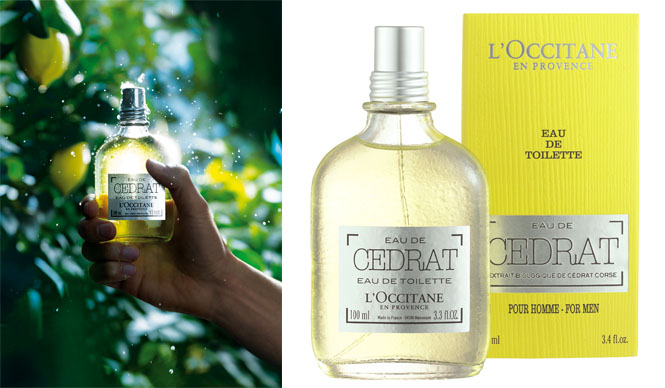 この夏の男を爽やかに変身させる香りは、大人のシトラス“セドラ”|L’OCCITANE