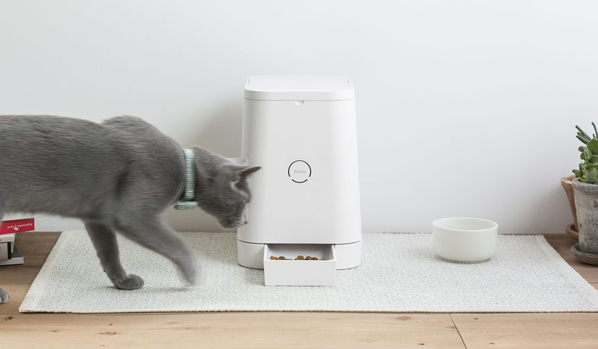 自動給餌器が好評のリン、愛猫家向け新メディア『MILL』スタート｜RINN