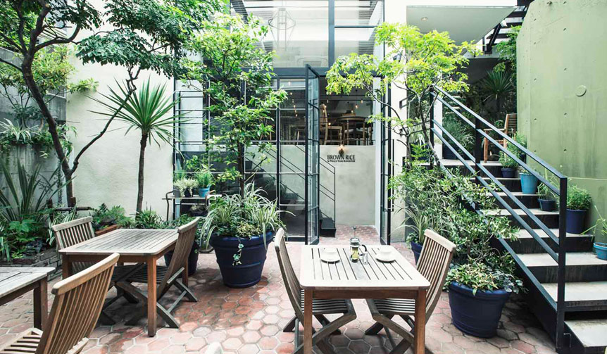 緑に囲まれた爽やかな空間でビールと野菜料理を楽しむ｜BROWN RICE by NEAL’S YARD REMEDIES