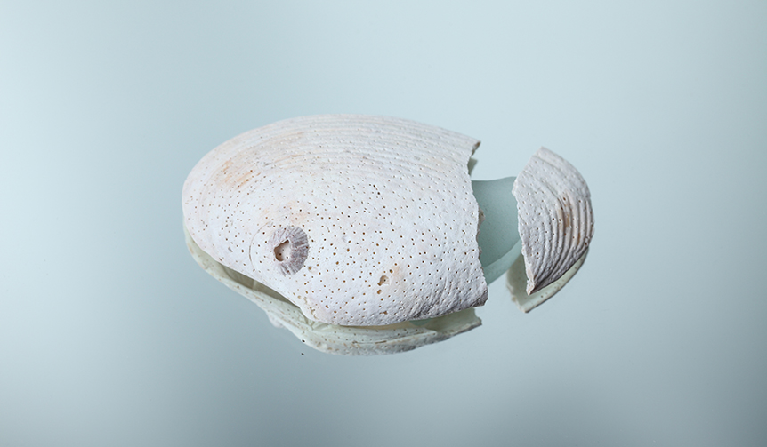 短期連載｜Missing Trace〜ロンドンの記憶と記録のあいだ〜