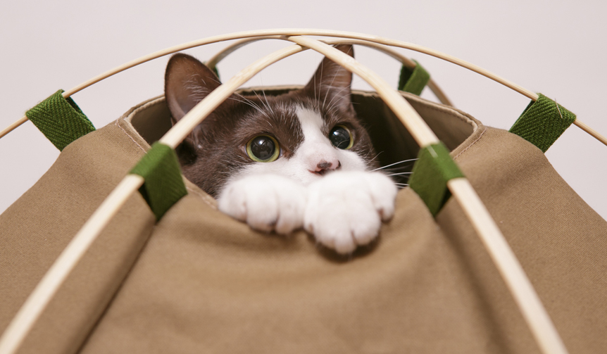 PRODUCT Tokyo Tips|2015年10月 新製品情報を厳選して紹介