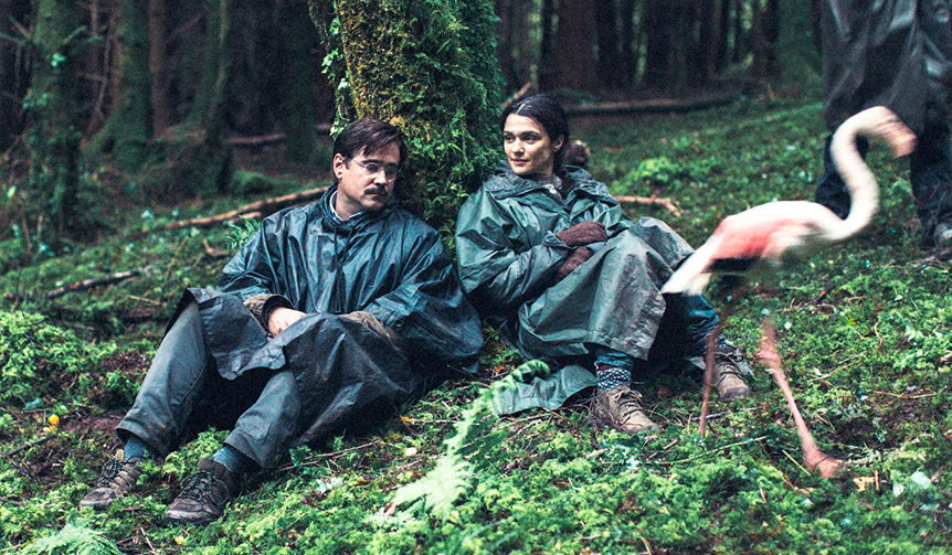 独身者は身柄を確保され動物に。映画『ロブスター』が公開|MOVIE