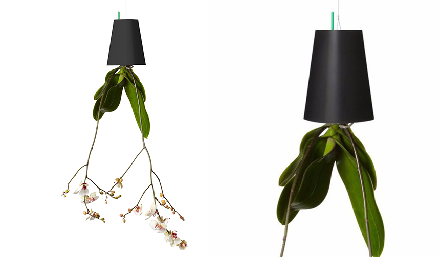 植物が“逆さま”に成長？！植木鉢「スカイプランター」に新色登場｜Boskke 