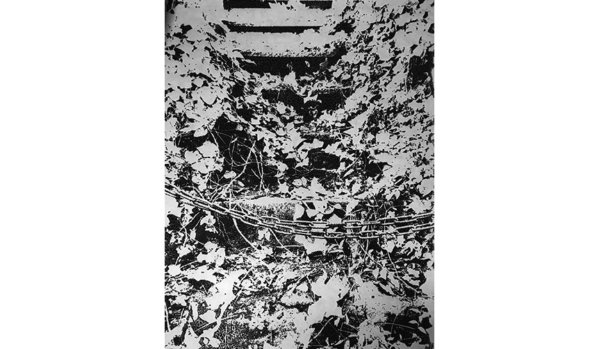 線香画家、市川孝典氏の個展「grace note」が開催|ART