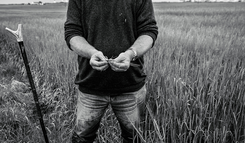 豊醇なスモーキーフレーバーを誇るシングルモルトウイスキーに新エディション｜OCTOMORE