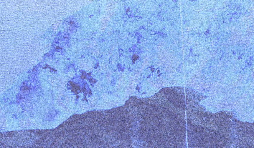 グラフィックアーティスト YOSHIROTTENの展覧会『FUTURE NATURE』｜ART