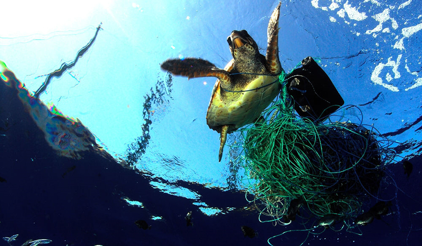 美しく豊かな海を維持するため、NGO団体とパートナーシップを締結|BREITLING