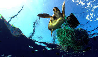 美しく豊かな海を維持するため、NGO団体とパートナーシップを締結｜BREITLING