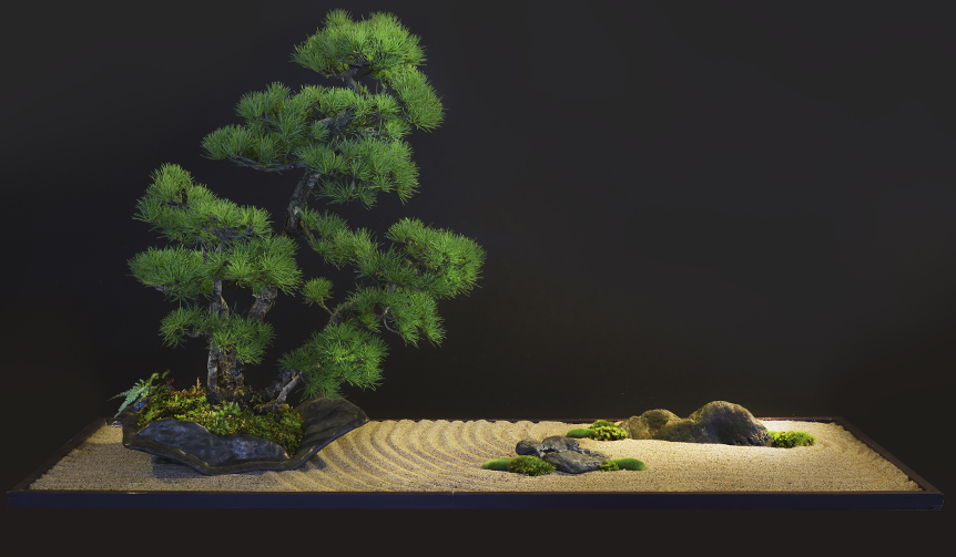 "盆栽"の魅力に触れるイベント「Feel Bonsai」を開催|Shangri-La Hotel, Tokyo
