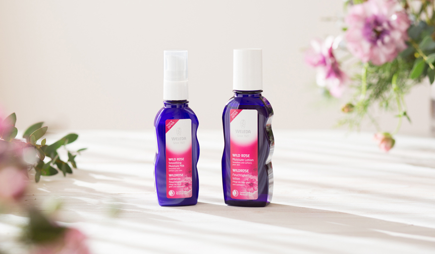 オーガニックローズを贅沢に配合した保湿化粧水＆乳液が登場｜WELEDA
