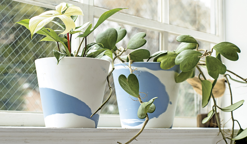 “世界でただひとつのプラントポット”を伊勢丹新宿店で期間限定販売｜WEDGWOOD