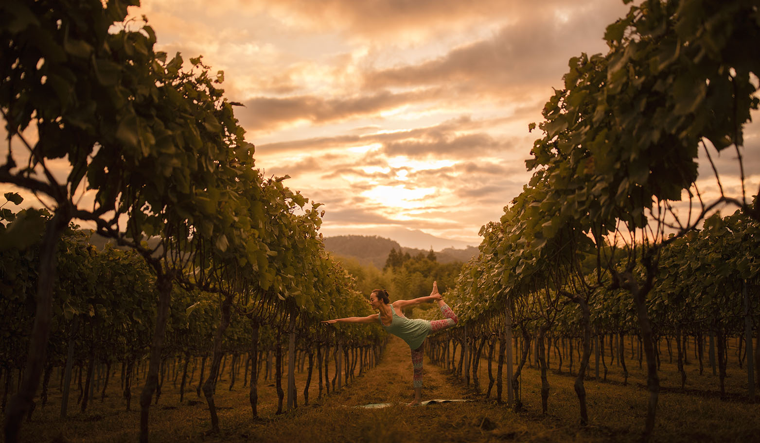 通は知っている！　こだわりの八ヶ岳シャルドネを堪能する「シャルドネステイ」｜TRAVEL