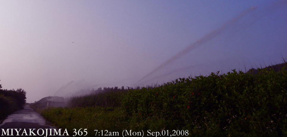  MIYAKOJIMA365 , September 2008