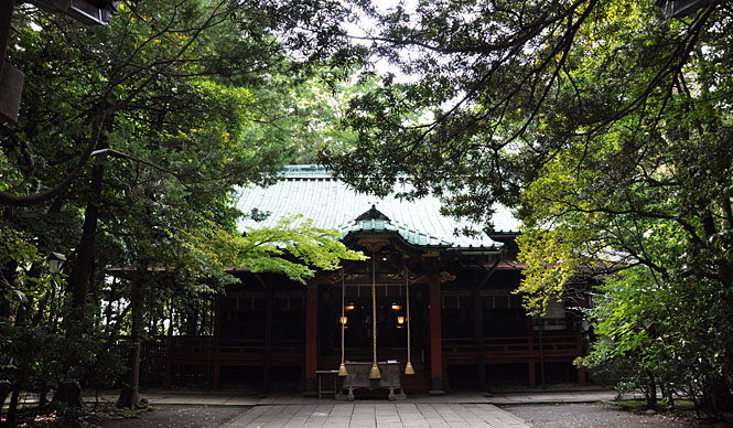  江戸七氷川筆頭、「赤坂氷川神社」とのプロジェクト ギャラリー